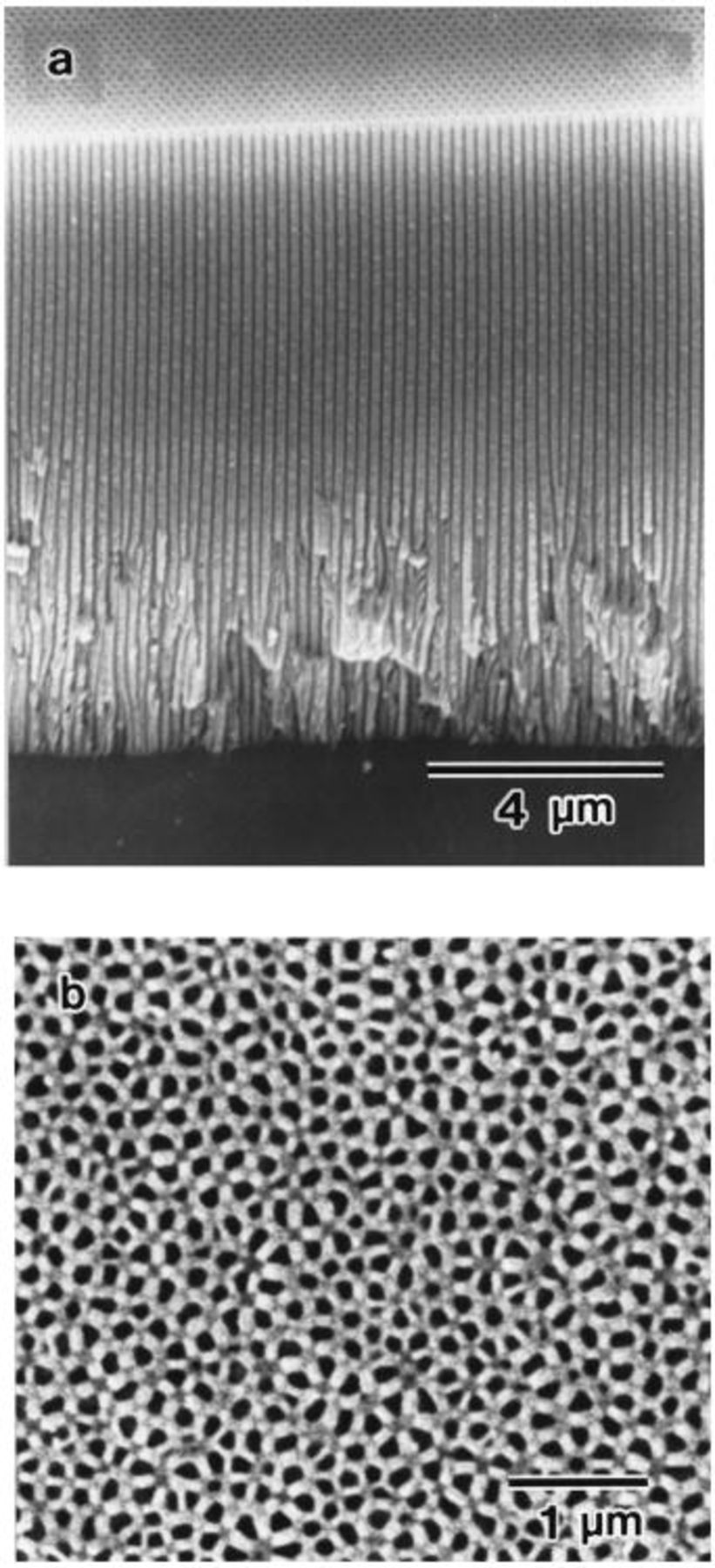 Conditions for Fabrication of Ideally Ordered Anodic Porous Alumina ...