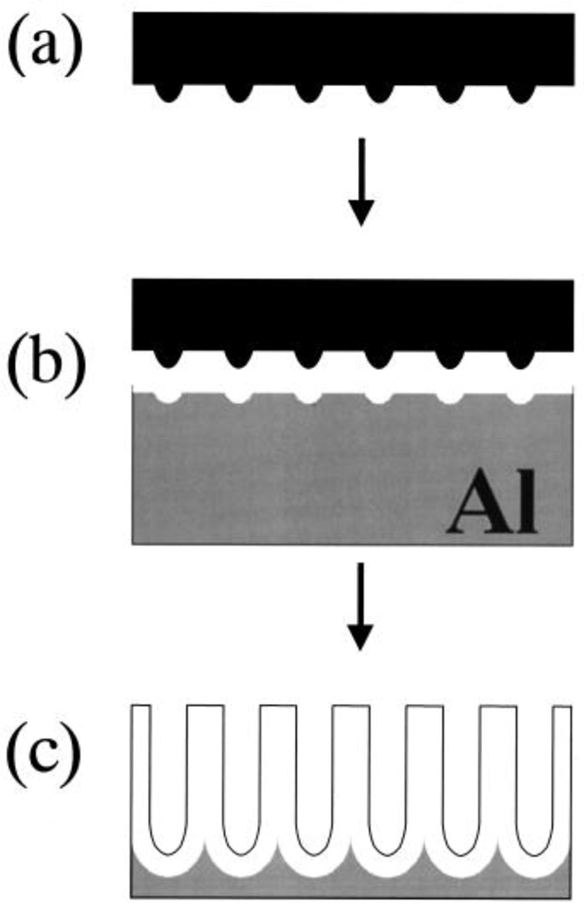 Conditions for Fabrication of Ideally Ordered Anodic Porous Alumina ...
