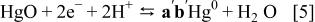 Equation (5)