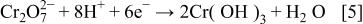 Equation (5)