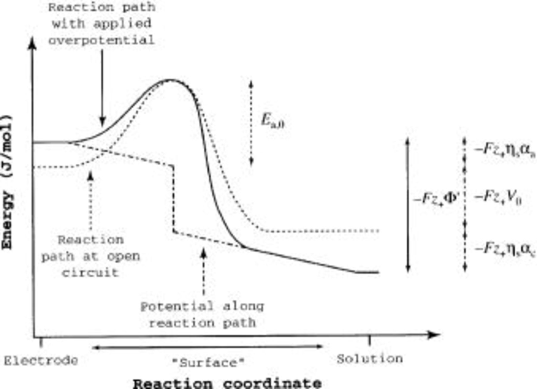 The Effect of Interfacial Deformation on Electrodeposition Kinetics ...