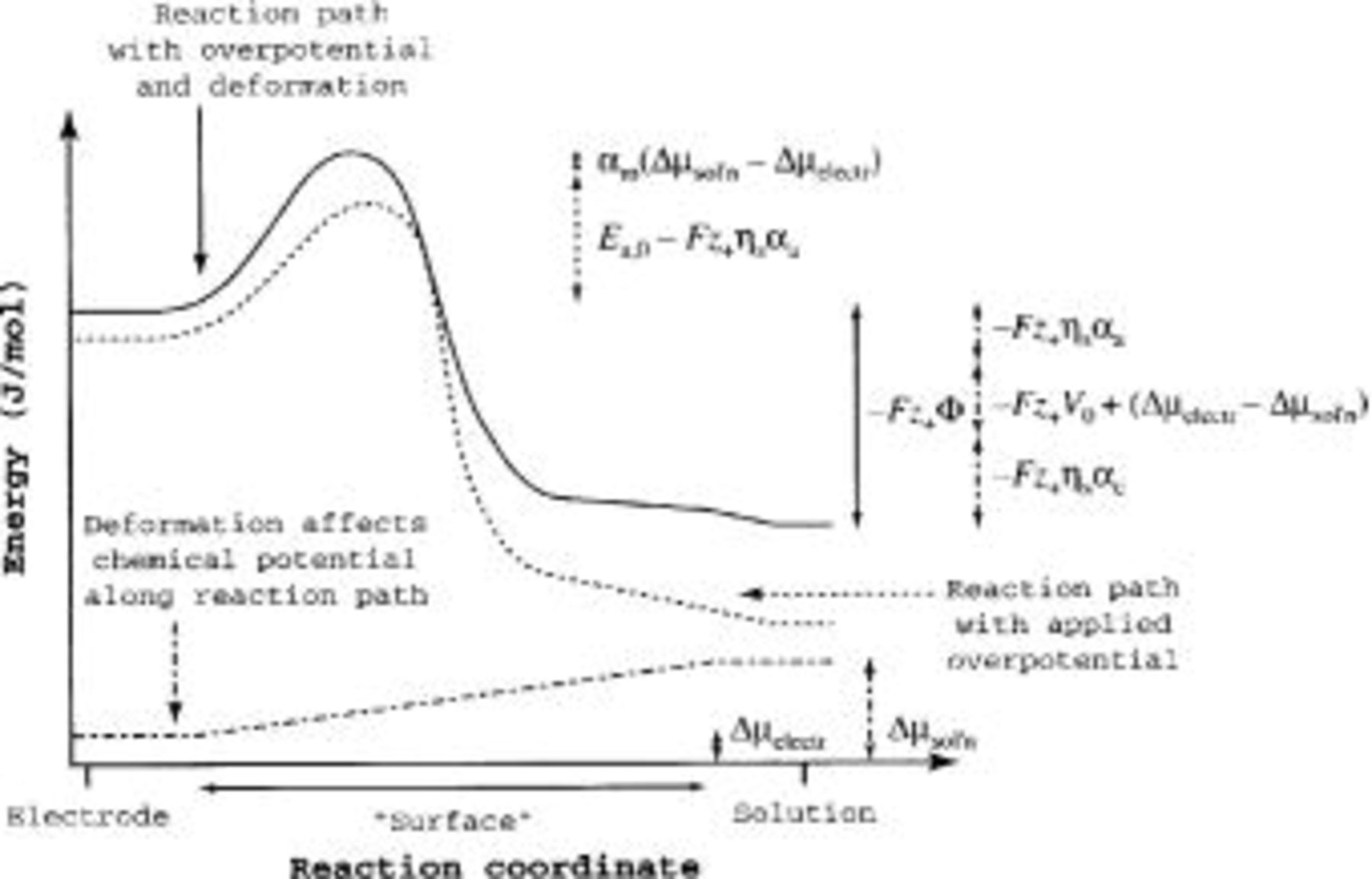 The Effect of Interfacial Deformation on Electrodeposition Kinetics ...