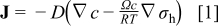 Equation (1)