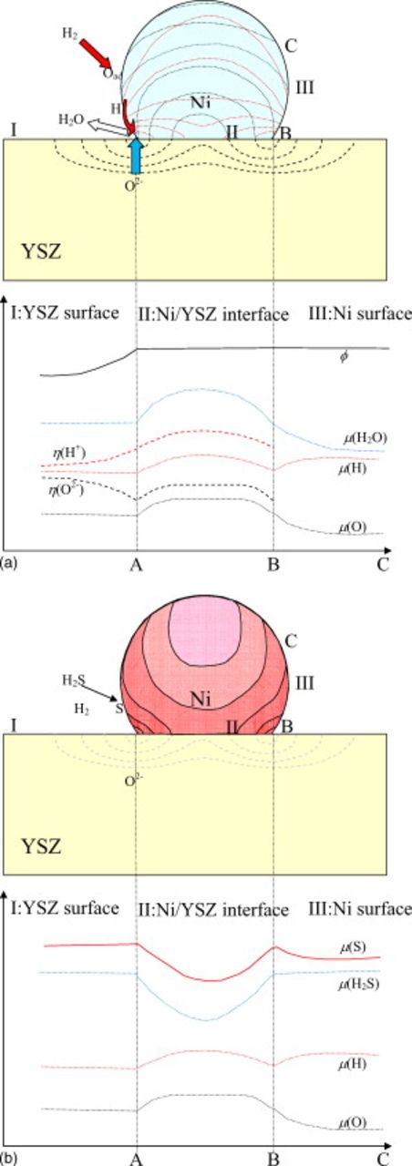 Figure 12.