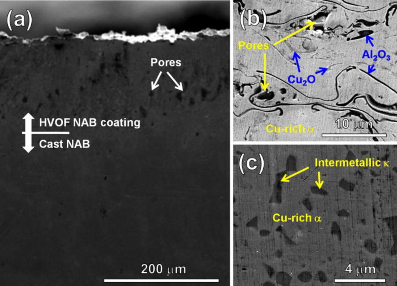 Corrosion and Corrosion Fatigue Characteristics of Cast NAB Coated with ...