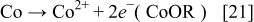 Equation (21)