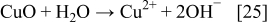 Equation (25)