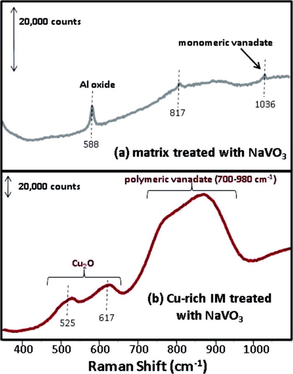 Vanadium Raman Spectroscopy Raman Spectroscopy Characterization of Aqueous Vanadate Species ...