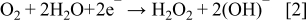 Equation (2)