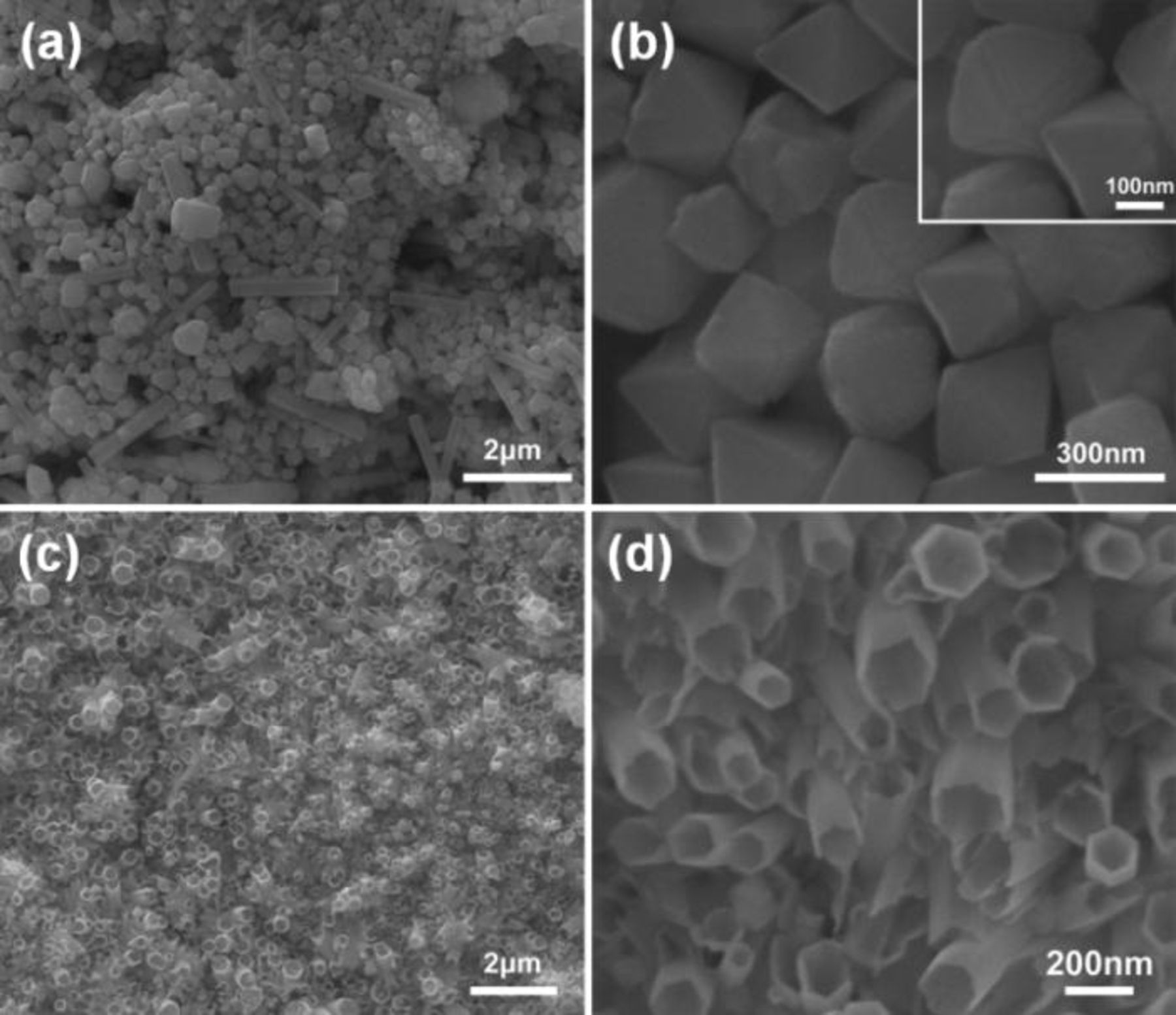 Controllable Electrochemical Synthesis and Photocatalytic Activity of ...