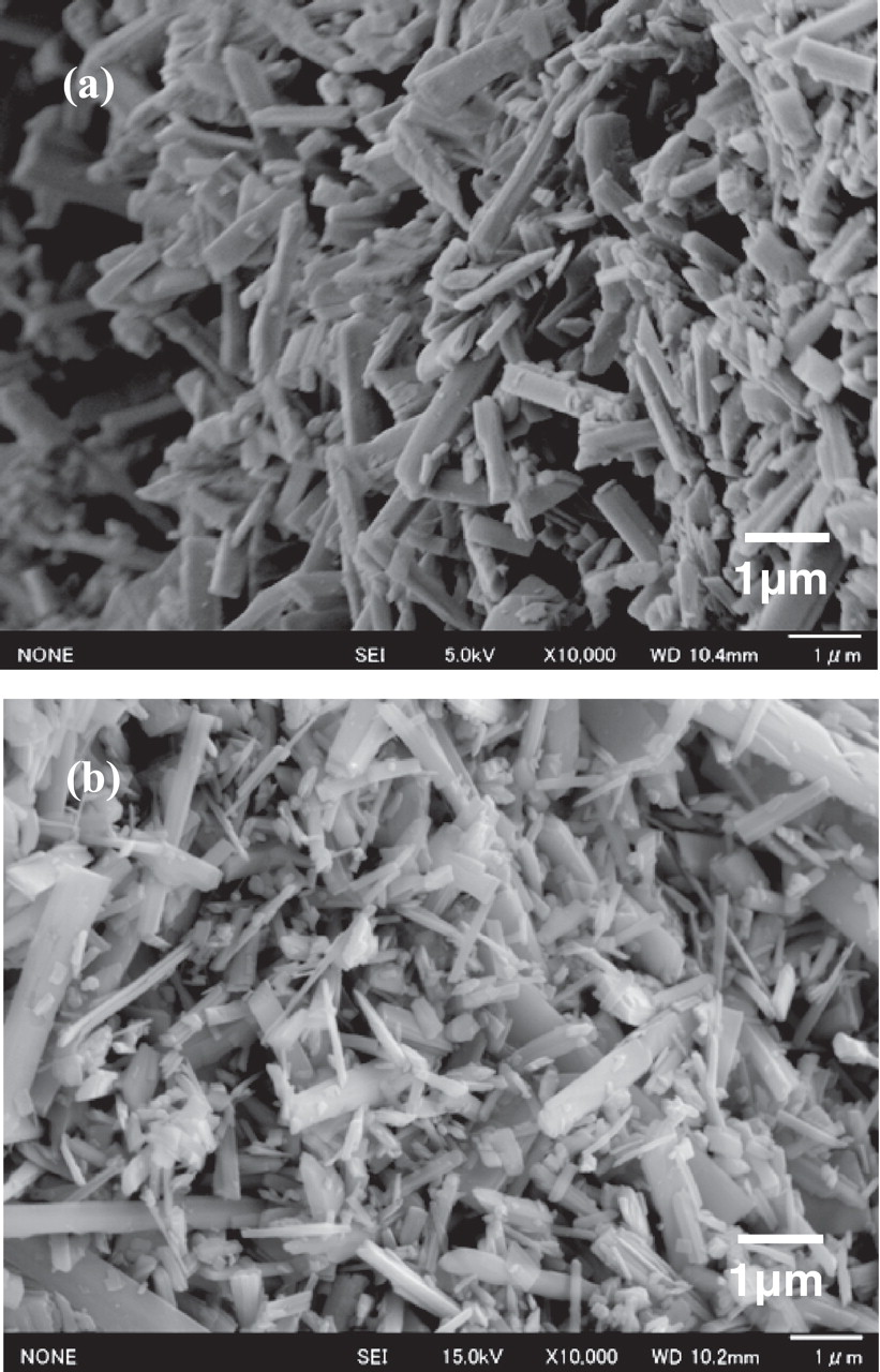 Improvement of the Reversible Capacity of TiO2(B) High Potential ...