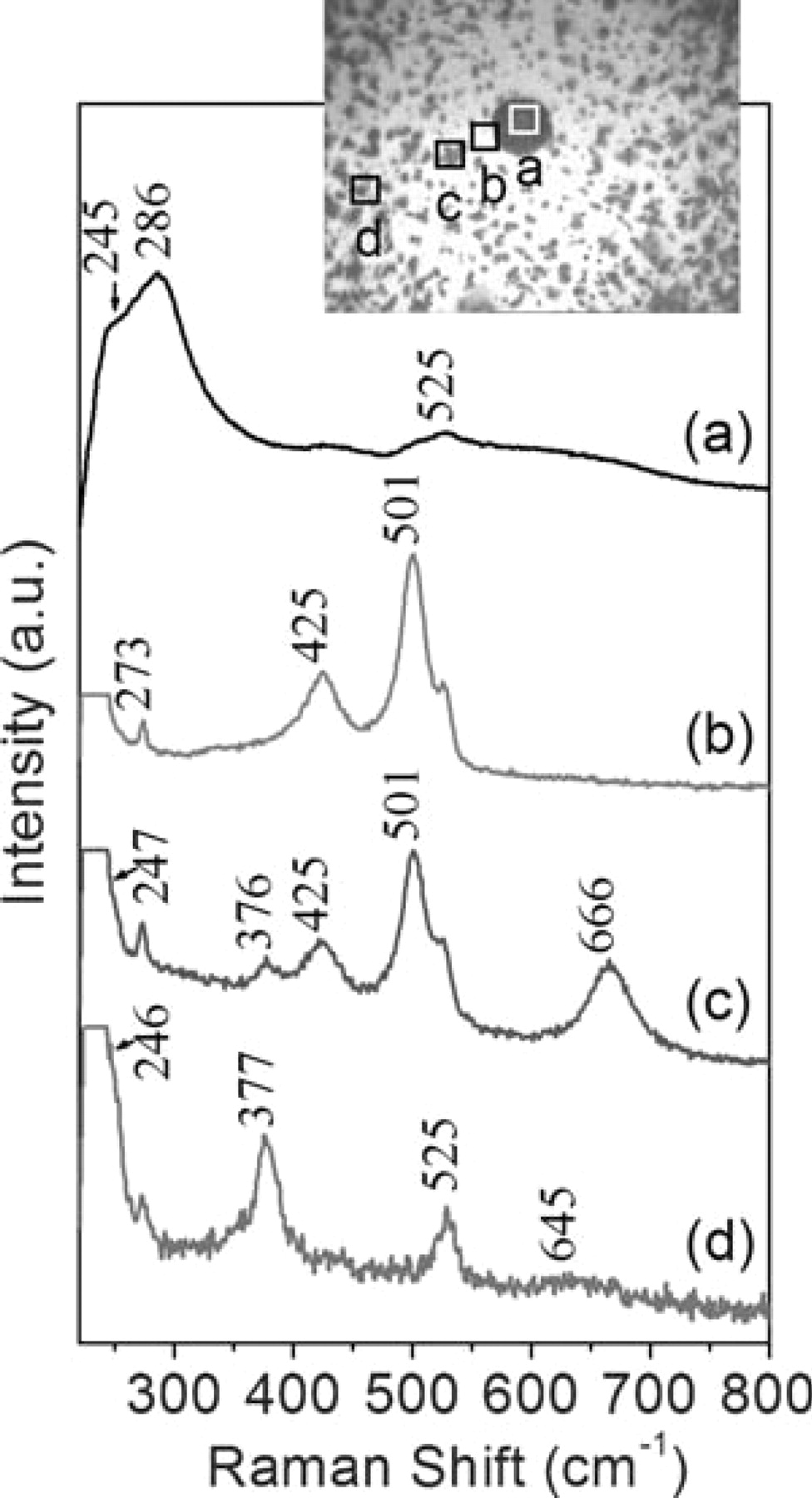 In situ Raman Spectroscopic Study of NaCl Particle-Induced Marine ...
