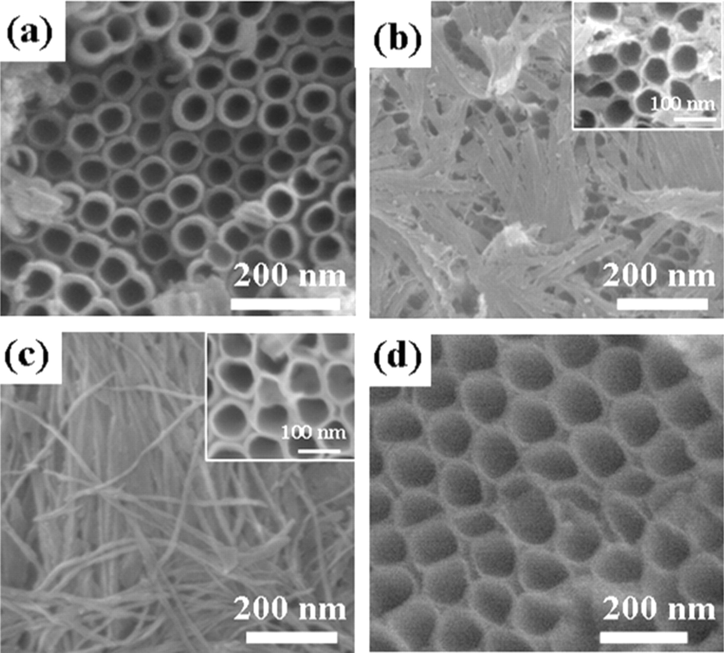 TiO2 Nanowires on Anodic TiO2 Nanotube Arrays (TNWs/TNAs): Formation ...