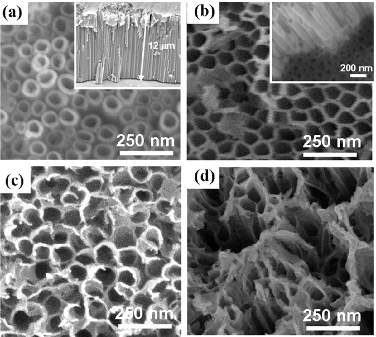 TiO2 Nanowires on Anodic TiO2 Nanotube Arrays (TNWs/TNAs): Formation ...