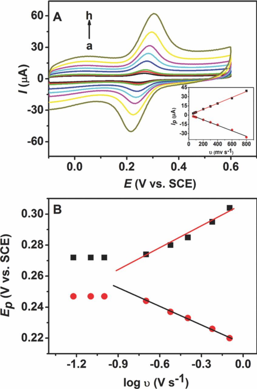 An Electrochemical Sensor Based on Carbon Nano-Fragments and β ...