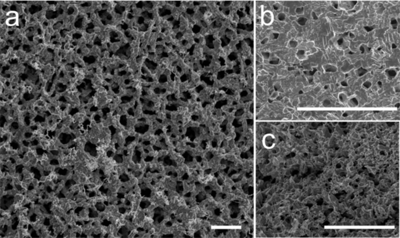 Dealuminification Mechanisms and Morphology Evolution in Dealloying - IOPscience
