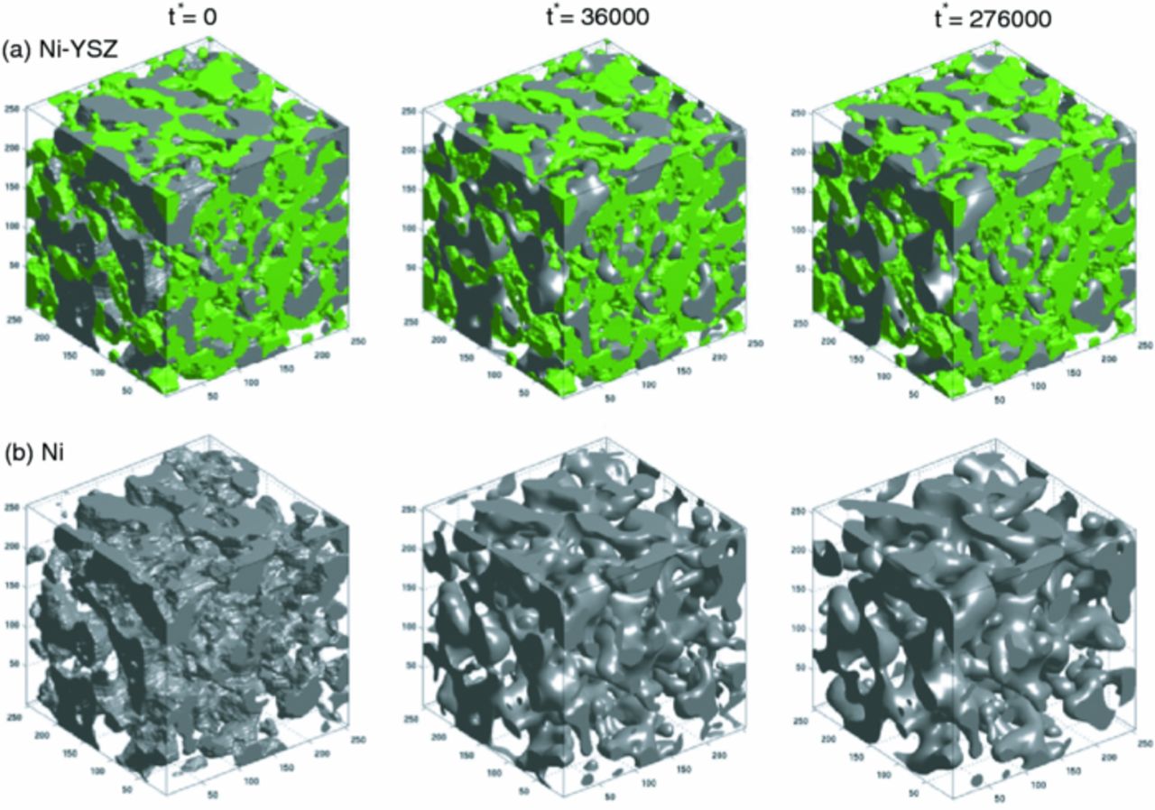 Simulation of Solid Oxide Fuel Cell Anode Microstructure Evolution ...
