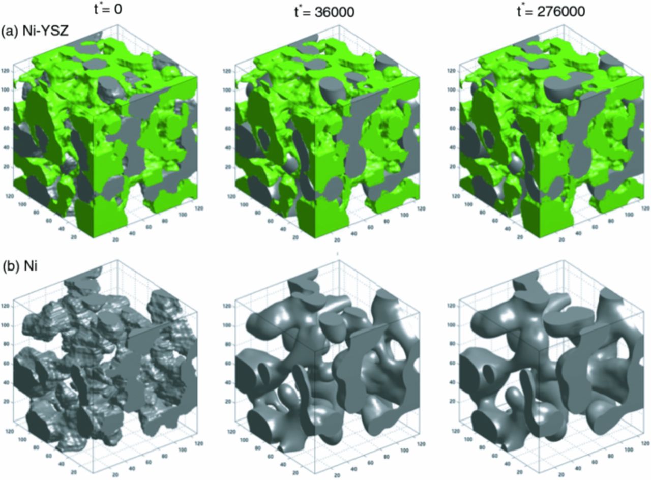 Simulation of Solid Oxide Fuel Cell Anode Microstructure Evolution ...