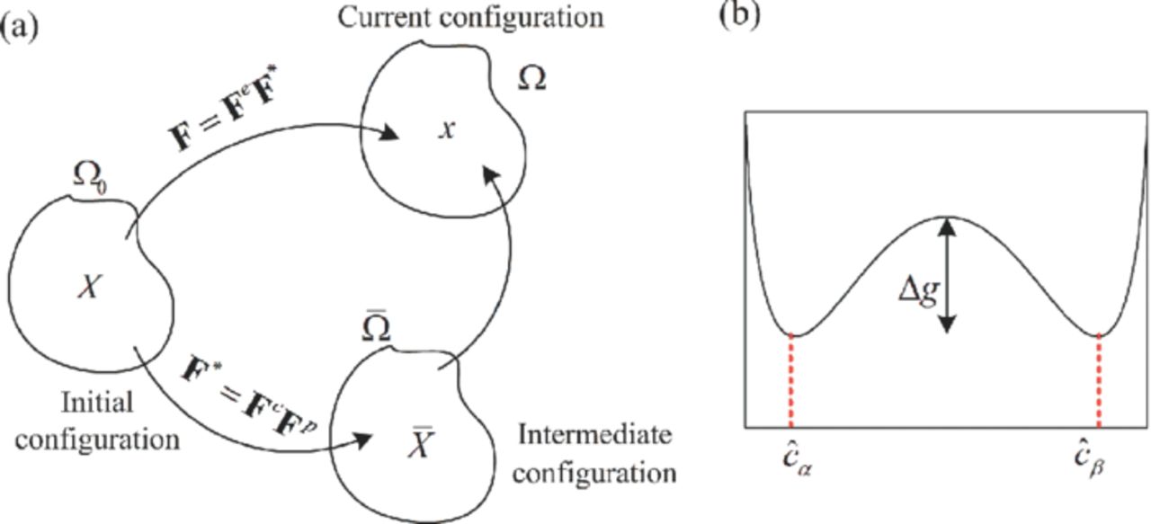 A Phase-Field Model Coupled with Large Elasto-Plastic Deformation ...