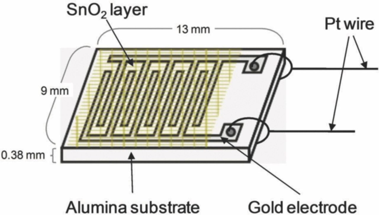 Determination of Oxygen Adsorption Species on SnO2: Exact Analysis of ...
