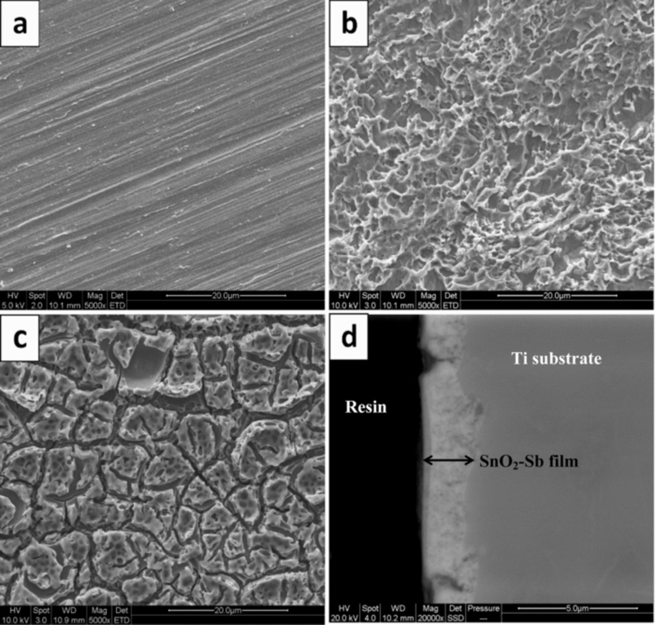 Pbo2 Coating Physicochemical Characterization of Electrosynthesized PbO2 Coatings ...