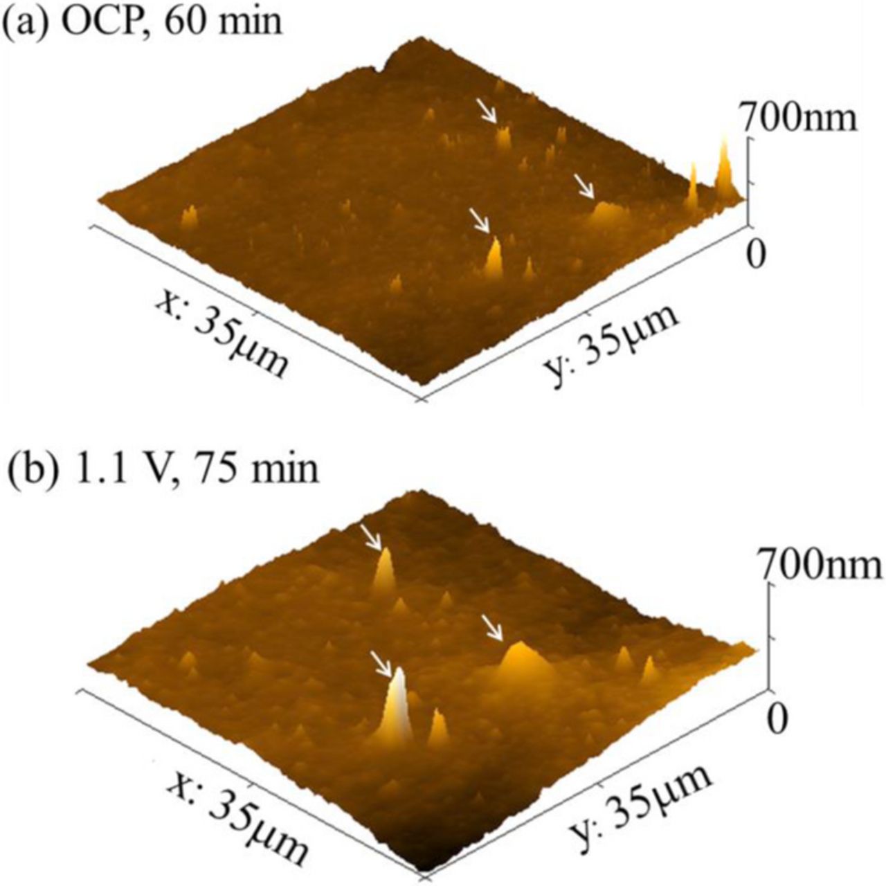 In Situ AFM and Electrochemical Study of a Waterborne Acrylic Composite ...
