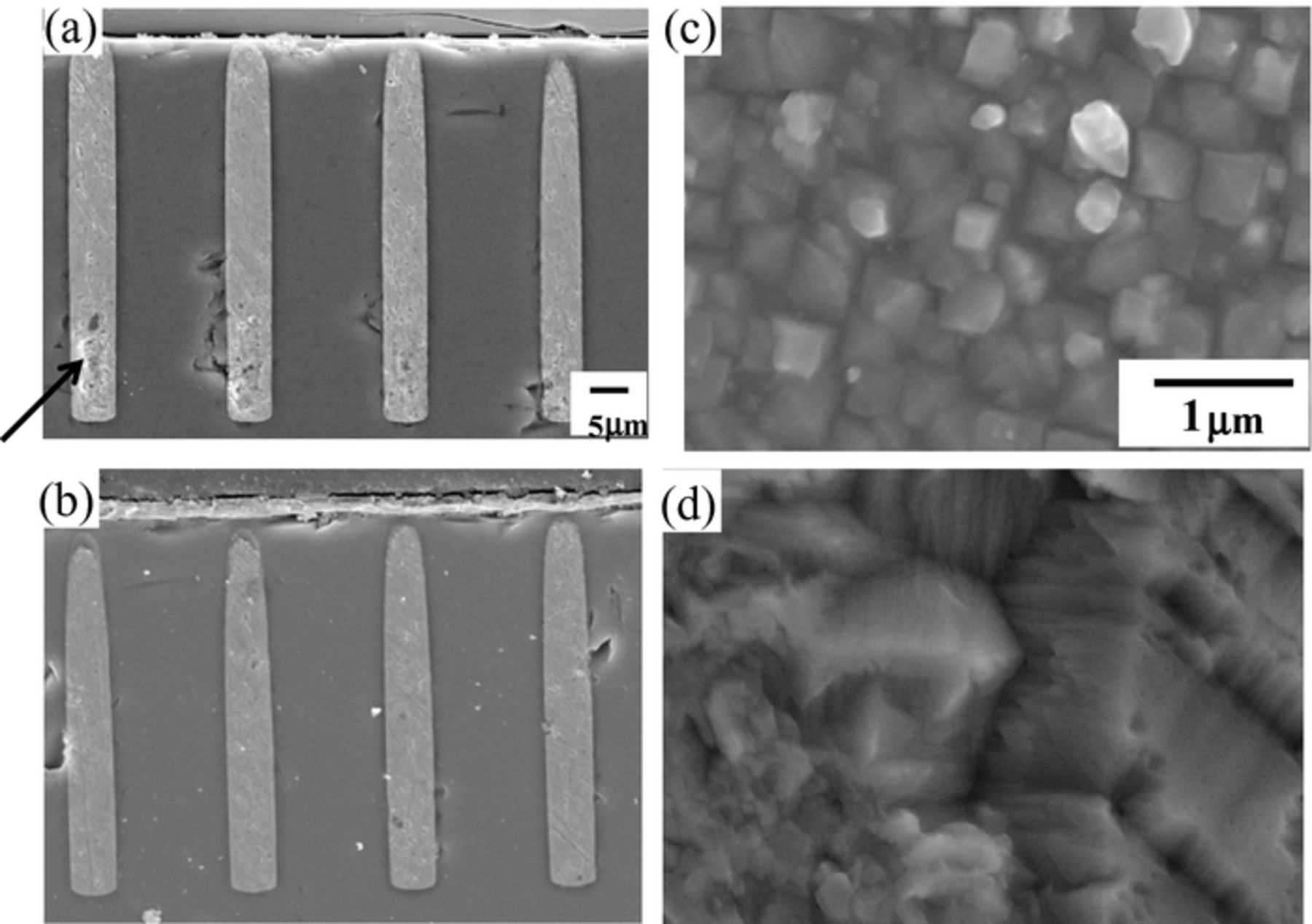Figure 2. Refer to the following caption and surrounding text.