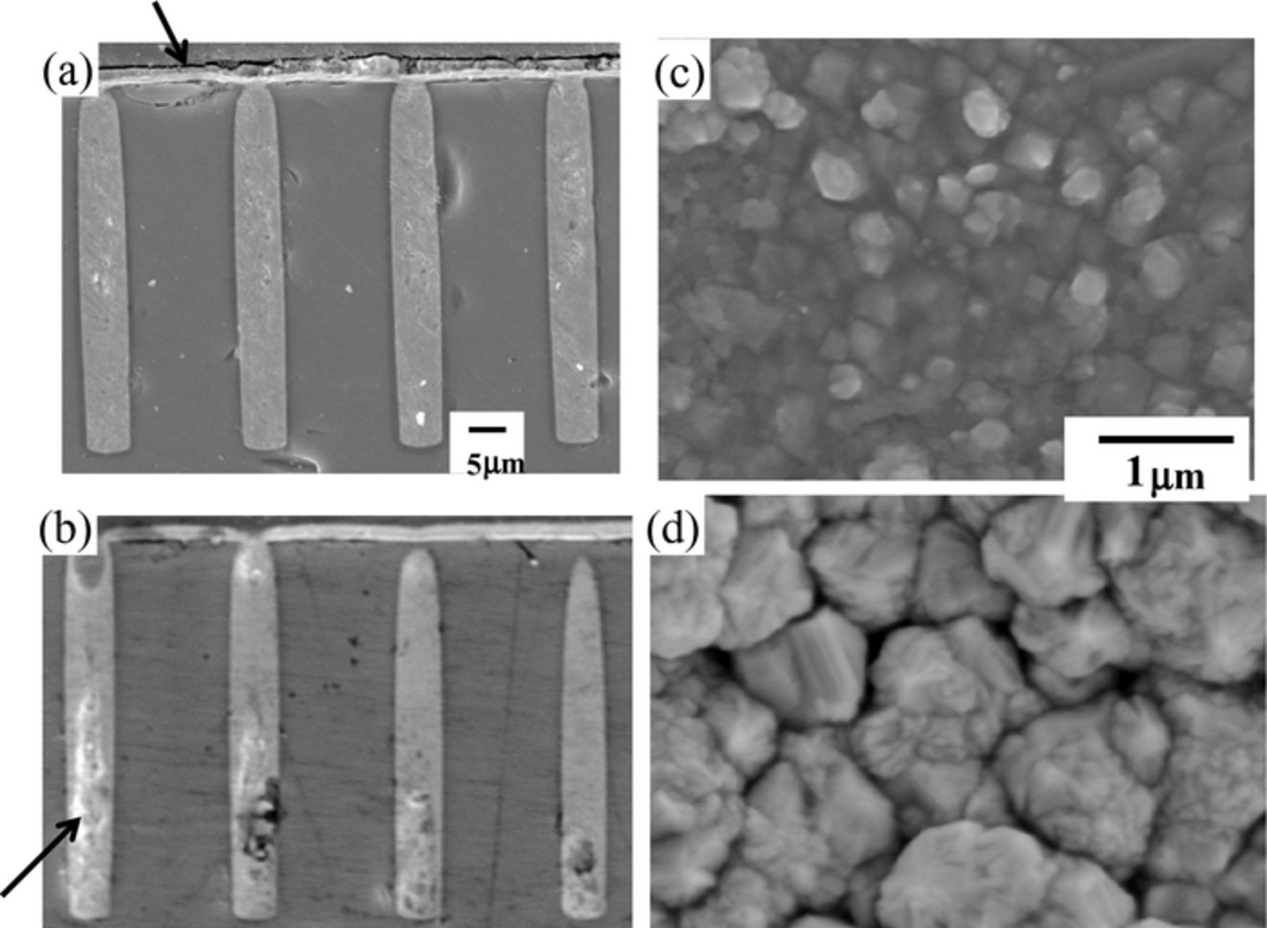 Figure 3. Refer to the following caption and surrounding text.