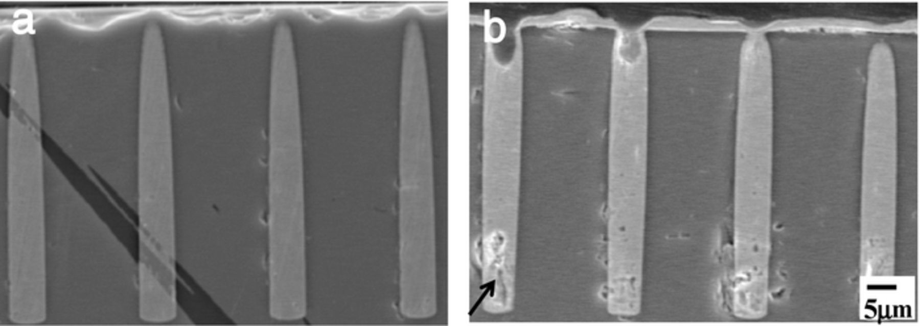 Figure 8. Refer to the following caption and surrounding text.