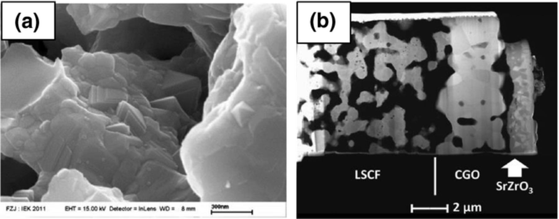 Review—Materials Degradation of Solid Oxide Electrolysis Cells - IOPscience