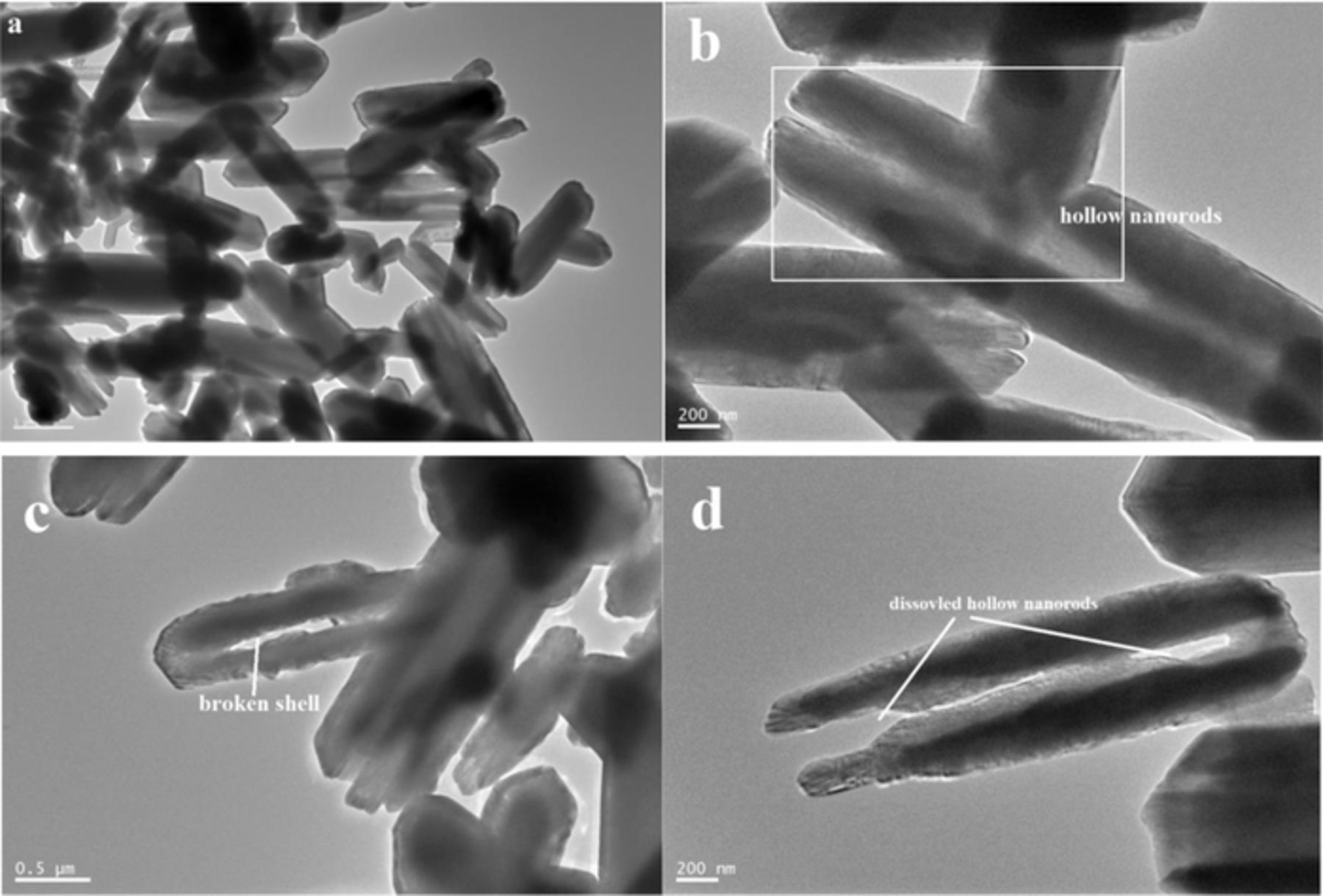 Mno2 Rutile Atructure Crystallographic Structure and Morphology Transformation of MnO2 ...