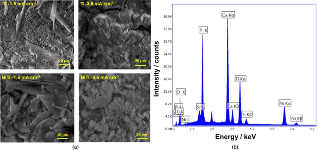 Role of Crystallographic Texture and Crystallinity on the ...