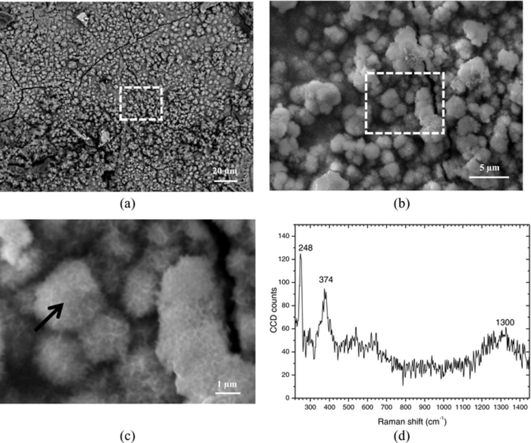 Rust Raman SEM/Micro-Raman Characterization of the Morphologies of Marine ...