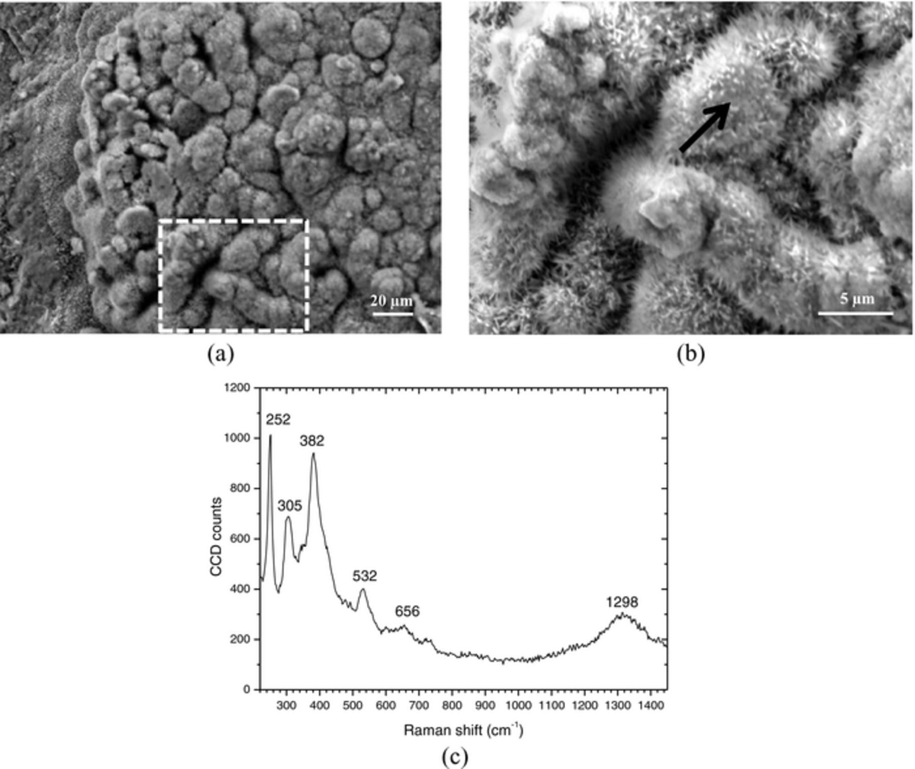 Rust Raman SEM/Micro-Raman Characterization of the Morphologies of Marine ...