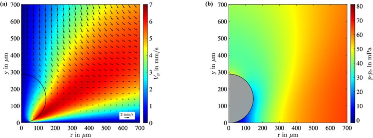 On the Electrolyte Convection around a Hydrogen Bubble Evolving at a ...