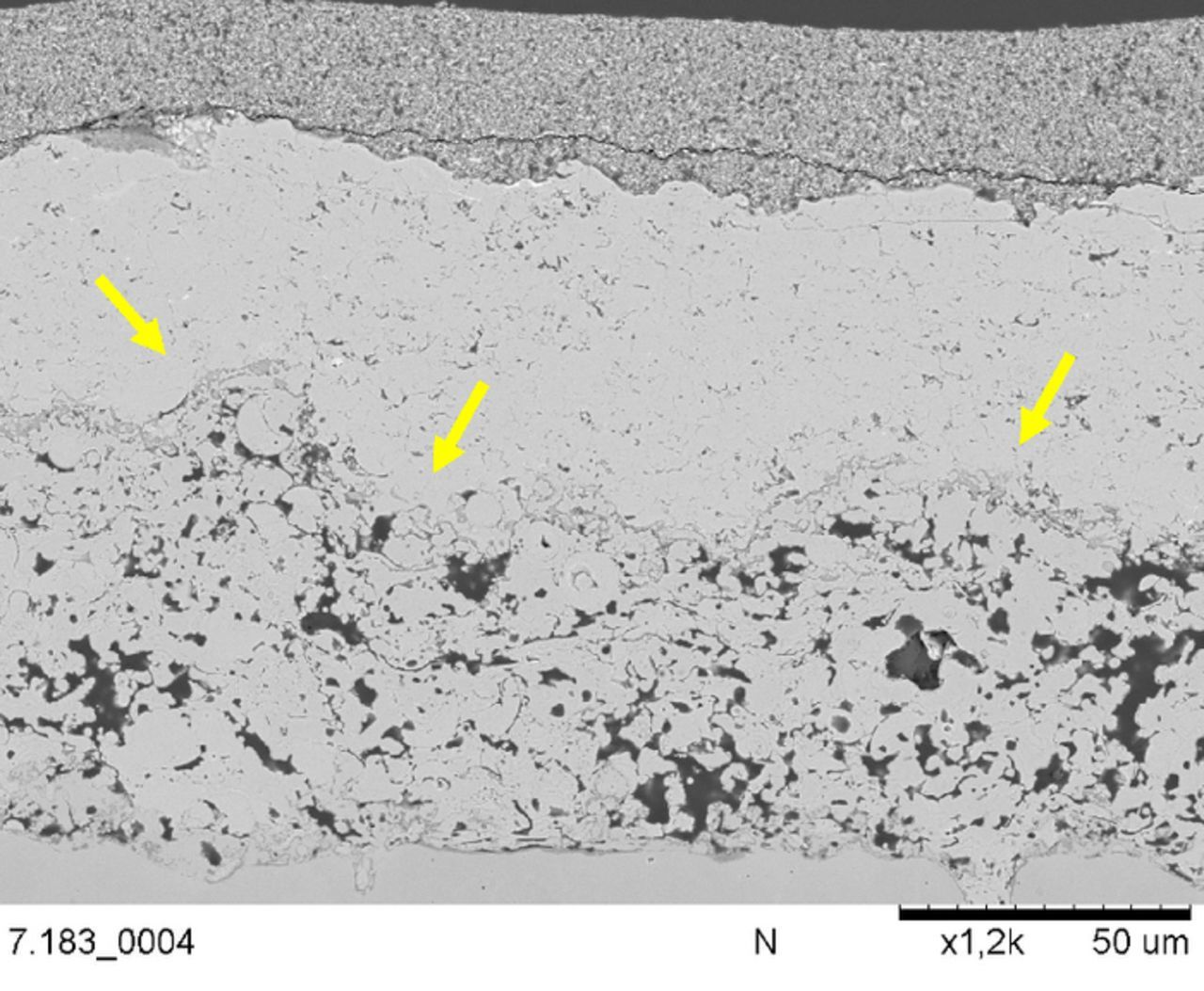 Electrochemical Performance of Plasma Sprayed Metal Supported Planar ...