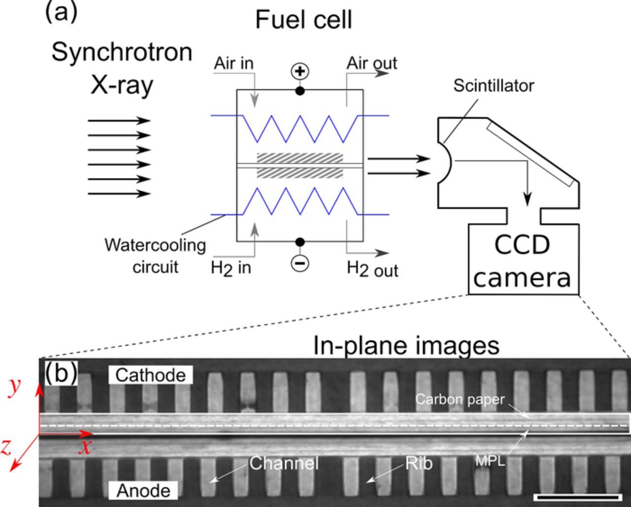 Synchrotron X-ray Radiography as a Highly Precise and Accurate Method ...