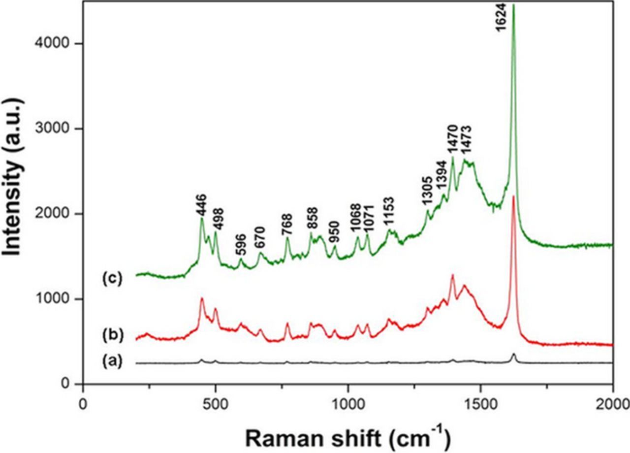 Silver Substrate For Raman Enhancement of Surface Raman Spectroscopy Performance by Silver ...