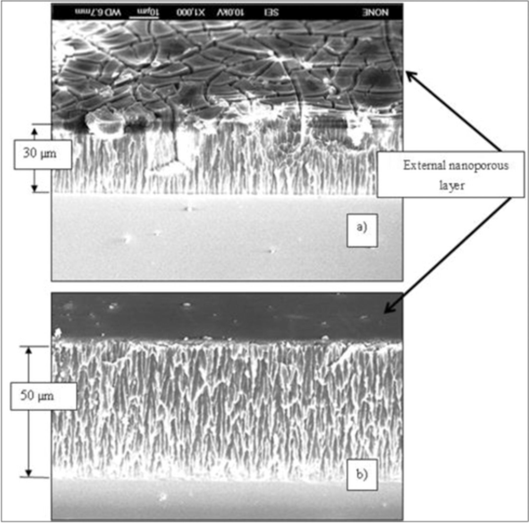 Silicon Structures with Variable Morphology of Pores Methods of ...