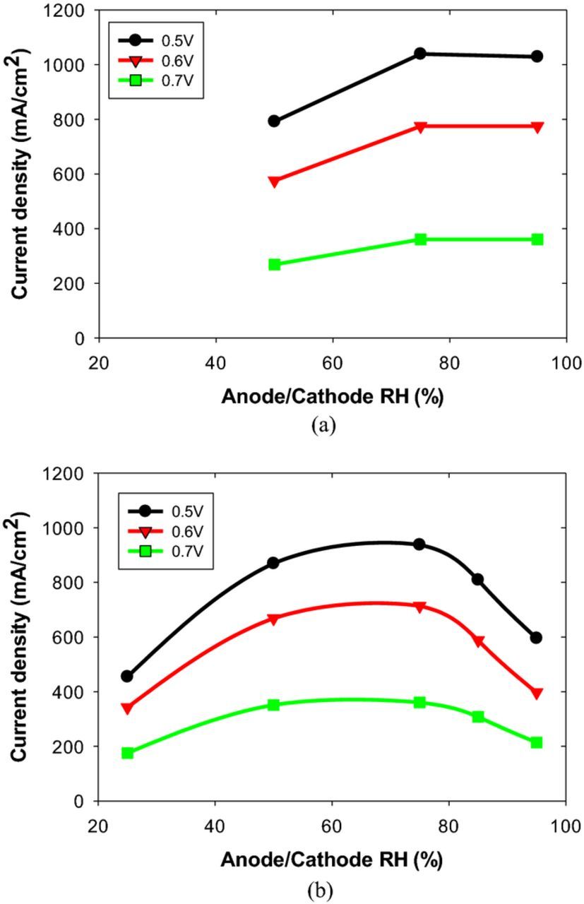 The Effect of Membrane Properties on Performance and Transports inside ...