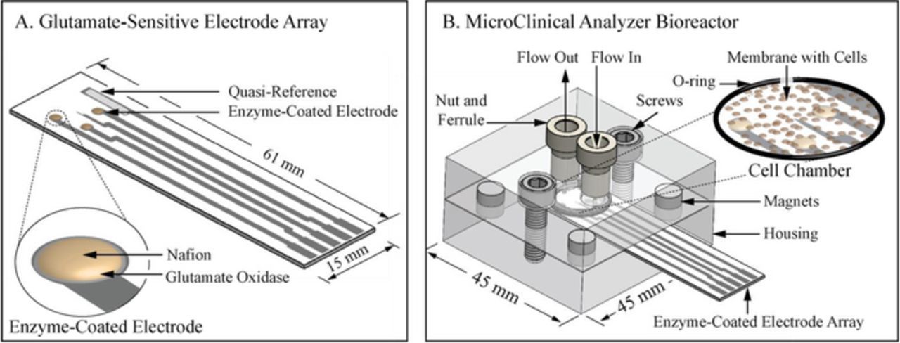 Figure 1. Refer to the following caption and surrounding text.