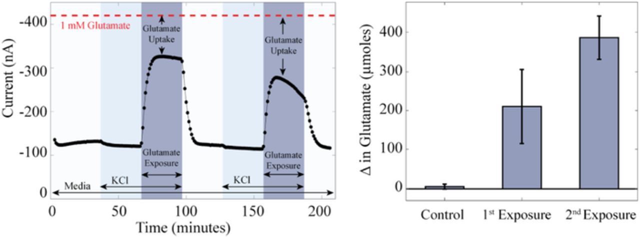 Figure 3. Refer to the following caption and surrounding text.