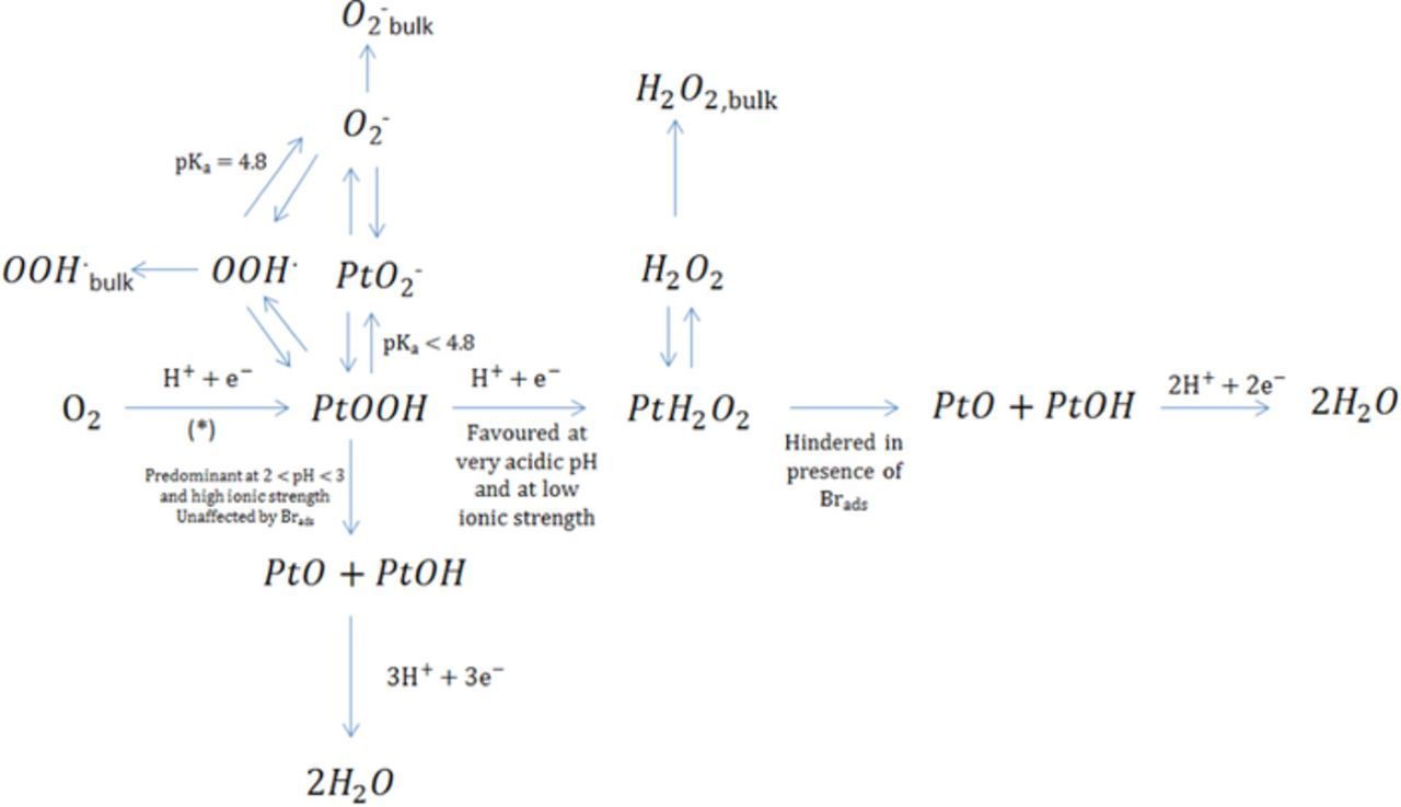 Understandings on the Inhibition of Oxygen Reduction Reaction by ...