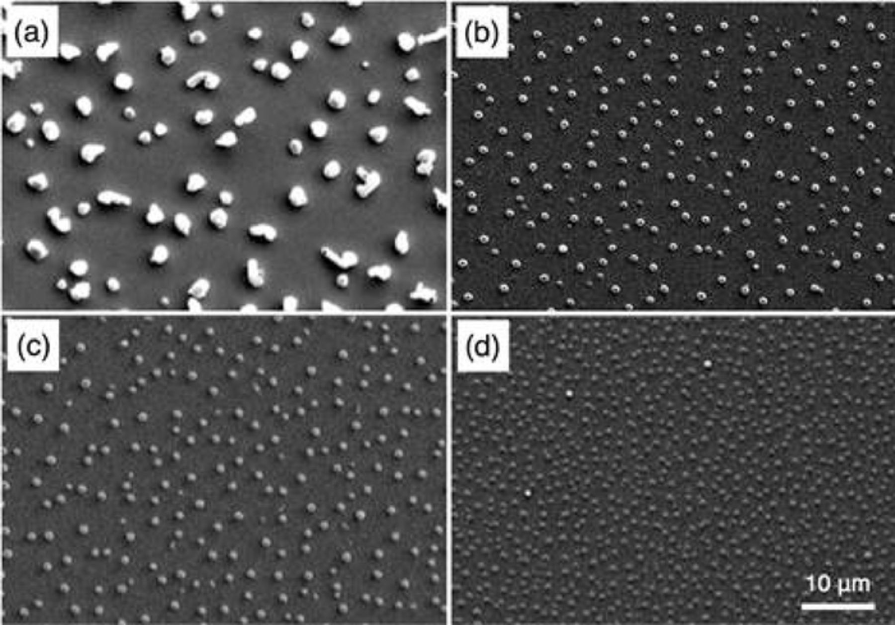 Electroplating Microscope In Situ Scanning Electron Microscope Observations of Li Plating ...