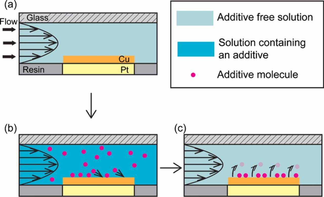 Observation of the Behavior of Additives in Copper Electroplating Using ...