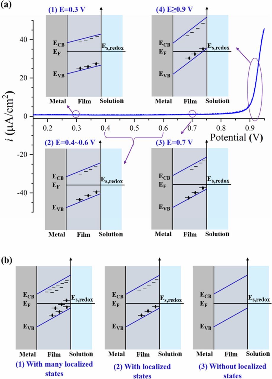 Transient Potential Induced Anodic Dissolution of 316L Stainless Steel ...