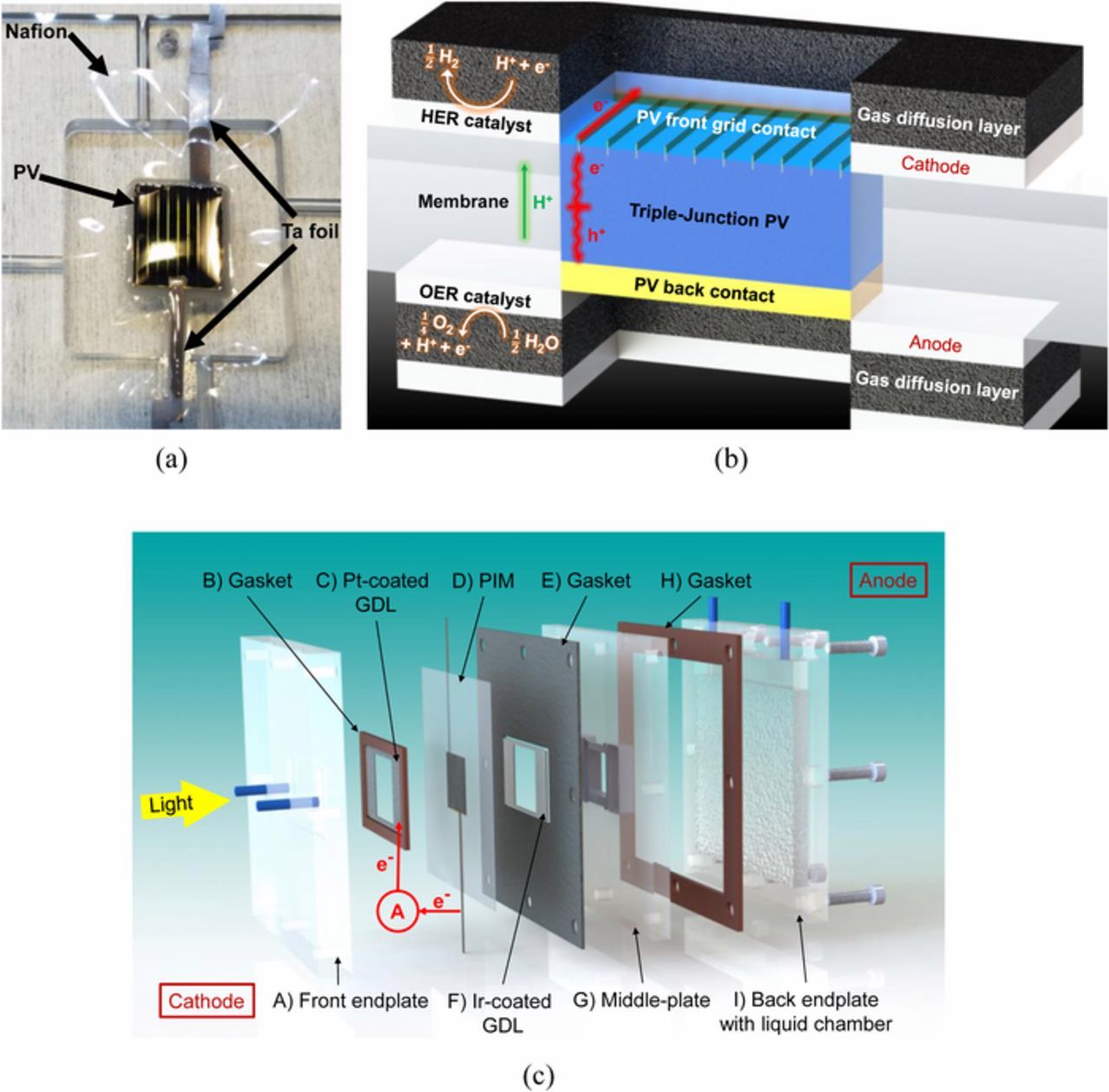 Editors' Choice—A Monolithic Photoelectrochemical Device Evolving ...