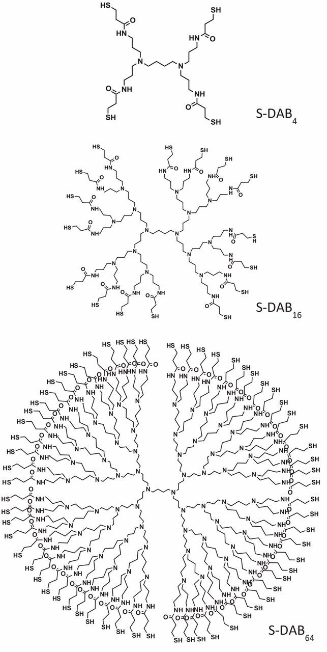 Thiolated DAB Dendrimers-Gold Nanoparticles as Self-Assembled Layers ...
