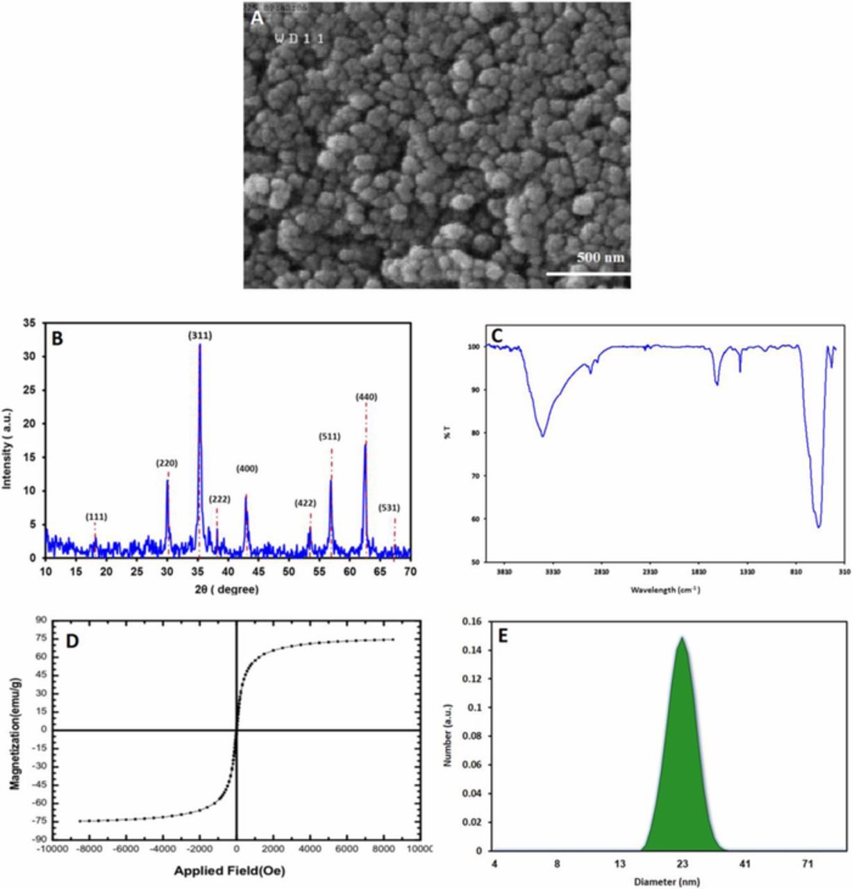 Electrochemical Device for the Synthesis of Fe3O4 Magnetic ...