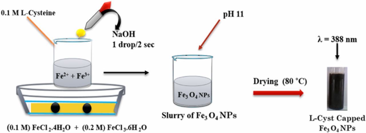 Highly Sensitive and Selective Electrochemical Sensor for Detection of ...